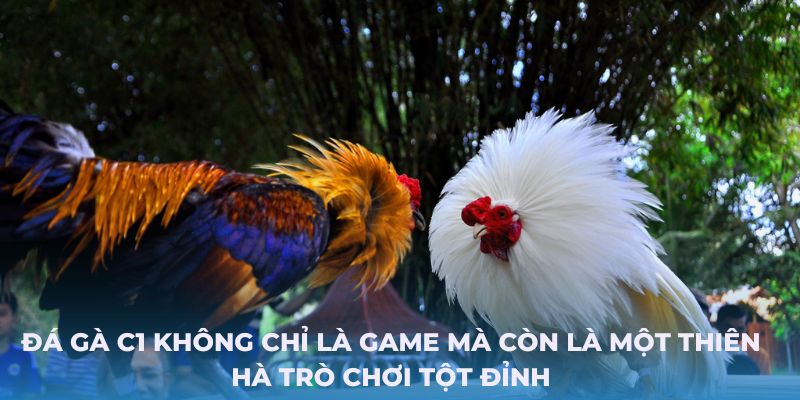 Đá gà C1 không chỉ là game mà còn là một thiên hà trò chơi tột đỉnh