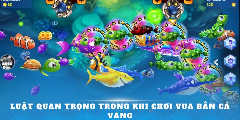 Luật quan trọng trong khi chơi vua bắn cá vàng