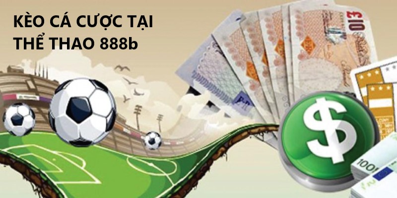 Các kèo cá cược tại thể thao 888b