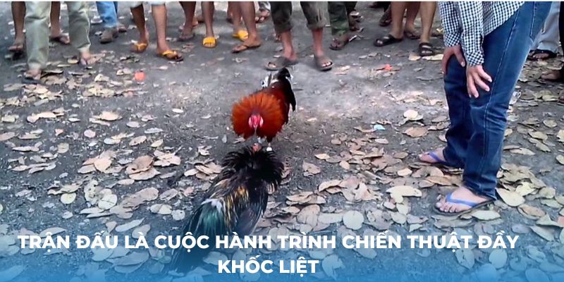 Trận đấu là cuộc hành trình chiến thuật đầy khốc liệt cam go